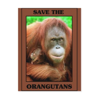 Save the Orangutans Postcard by One_Planet