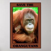 Save the Orangutans Print