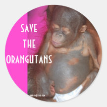 Save the Orangutans Round Sticker