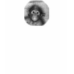Save the orangutans! t-shirts