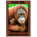 Save the Orangutans t-shirts