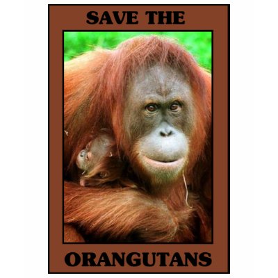Save the Orangutans T Shirts by One_Planet