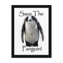 Save The Panguin! Postcard