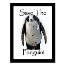 Save The Panguin! Postcard