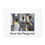 Save the Penguins! Postcard