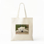 Save the Polar Bears bags