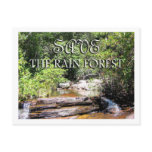 Save The Rain Forest Post Cards