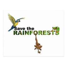 Save the Rainforests Post Cards