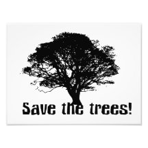 Save the Trees Photograph