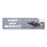 Save the Whales bumper sticker bumper stickers