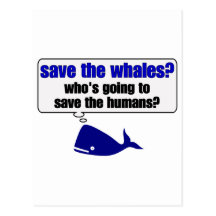 Save The Whales? Post Cards