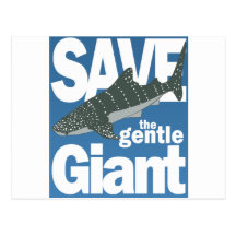 Save the Whales Post Cards