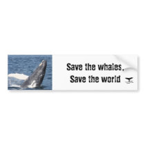 Save the whales, Save the world Bumper Stickers