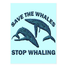 SAVE THE WHALES STOP WHALING POST CARD