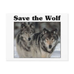 Save the Wolf Post Card