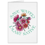 Save Water - Plant Native cards