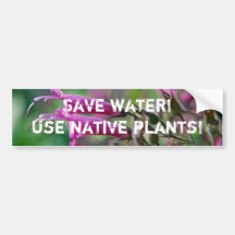 Save water! Use native plants - Bumper sticker