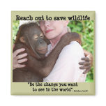 Save Wildlife ~ featuring orangutan orphan magnets