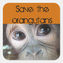 Saving Orangutans Sticker