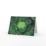 Savoy Cabbage cards