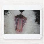Say Ah!/Dentist Humour mousepads