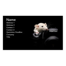 Say Cheese! Business Card Template