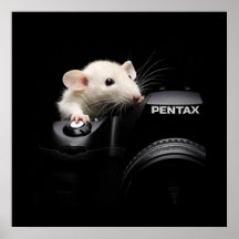 Say Cheese! Poster