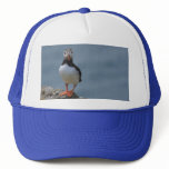 Say Cheese Puffin Hat