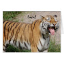 Say Cheese Tiger Card