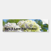 Say I Love You today! bumper stickers Hydrangeas