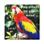 Say it !_Magnet