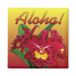 Say it with Aloha! Magnets