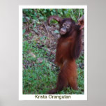 Say No to Bullies - Krista Orangutan posters