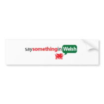 SaySomethinginWelsh bumper stickers