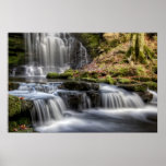 Scaleber Force Falls Poster