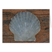 Scallop shell greeting card