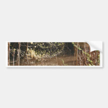Scalloped Siulsaw and Cattails Bumper Sticker