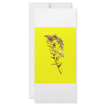 Scan of a florida wildflower w yellow background rack cards