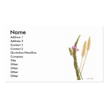 Scan of a green stem, purple roses, fuzzy flowers business card template