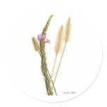 Scan of a green stem, purple roses, fuzzy flowers stickers