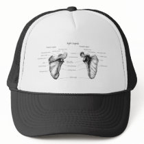 Scapula Details Mesh Hat