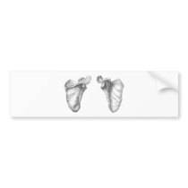 Scapula Grey Bumper Stickers