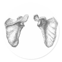 Scapula Grey Round Sticker