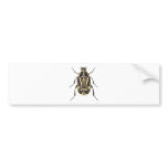Scarab Beetle Bumper Sticker