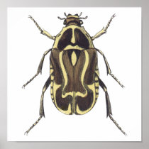 Scarab Beetle Print