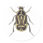 Scarab Beetle Sticker