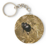 Scarab Beetle walking Key Chain