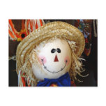 Scarecrow Face postcards