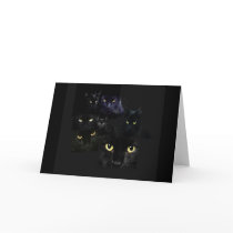 Scaredy Cats Greeting Card