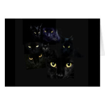 Scaredy Cats Greeting Card